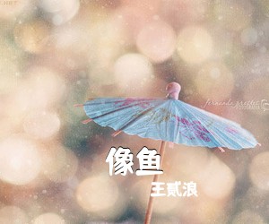 王贰浪《像鱼吉他谱》(C调)