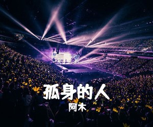 阿木《孤身的人吉他谱》(G调)