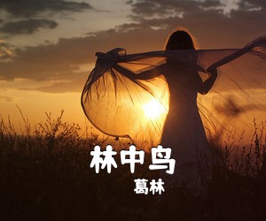 葛林《林中鸟吉他谱》(C调)