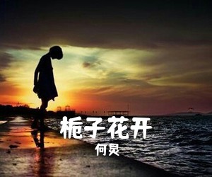 何炅《栀子花开简谱》