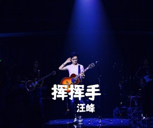 汪峰《挥挥手吉他谱》(G调)