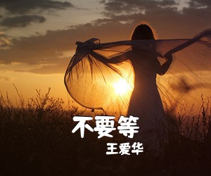 王爱华《不要等简谱》
