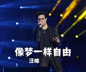 汪峰《像梦一样自由吉他谱》(D调)