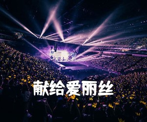 《献给爱丽丝吉他谱》(C调)