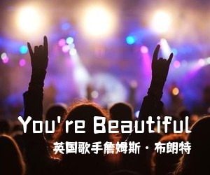 英国歌手詹姆斯·布朗特《You're Beautiful吉他谱》(C调)