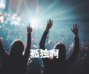 《孤独啊吉他谱》