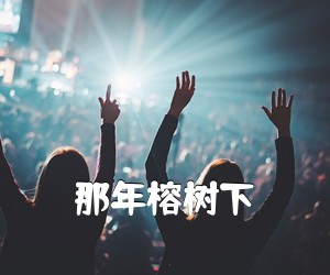 《那年榕树下吉他谱》(D调)