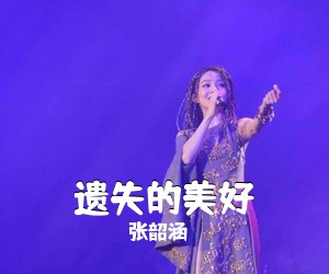 张韶涵《遗失的美好吉他谱》(C调)