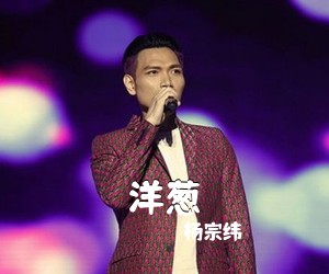 杨宗纬《洋葱吉他谱》(G调)