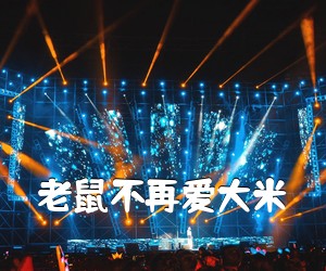 《老鼠不再爱大米吉他谱》(C调)