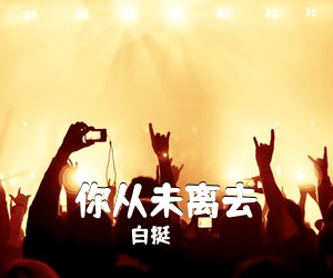 白挺《你从未离去吉他谱》(C调)