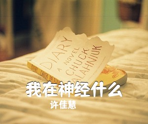 许佳慧《我在神经什么简谱》