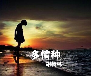 胡杨林《多情种吉他谱》(C调)