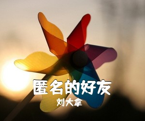 刘大拿《匿名的好友吉他谱》(G调)