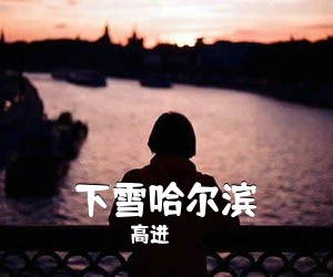 高进《下雪哈尔滨吉他谱》(C调)