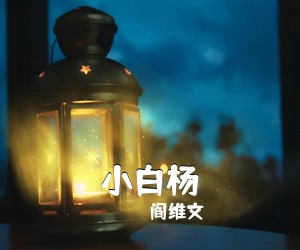 阎维文《小白杨简谱》