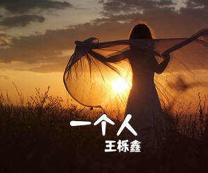 王栎鑫《一个人吉他谱》(C调)