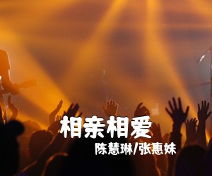 陈慧琳/张惠妹《相亲相爱吉他谱》(G调)