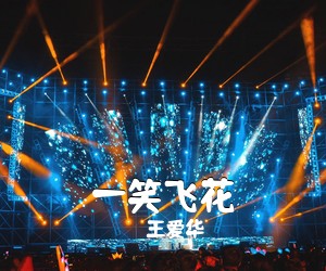 王爱华《一笑飞花简谱》