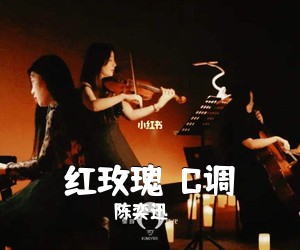 陈奕迅《红玫瑰  C调吉他谱》(C调)