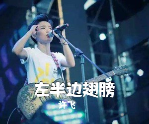 许飞《左半边翅膀吉他谱》(G调)