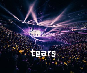 《tears吉他谱》