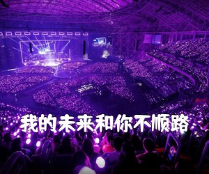 《我的未来和你不顺路吉他谱》(G调)