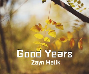 Zayn Malik《Good Years吉他谱》