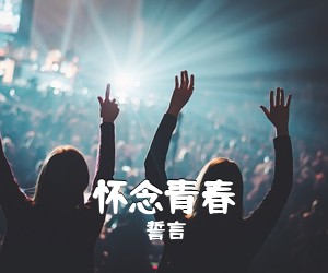 誓言《怀念青春吉他谱》(G调)