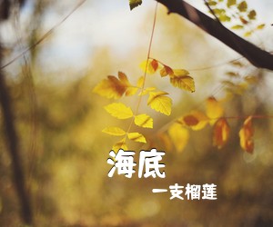 一支榴莲《海底吉他谱》