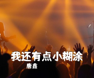 唐鑫《我还有点小糊涂吉他谱》(C调)