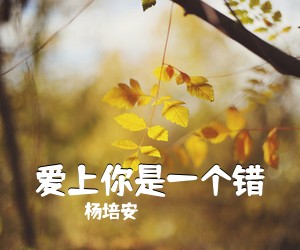 杨培安《爱上你是一个错吉他谱》(G调)