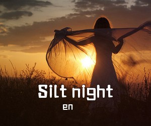 en《Silt night吉他谱》