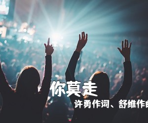 许勇作词、舒维作曲，山水组合《你莫走吉他谱》(G调)