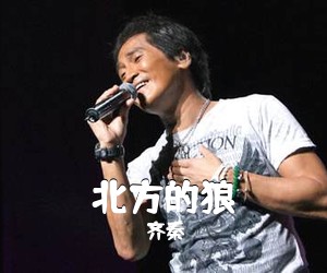 齐秦《北方的狼吉他谱》(C调)