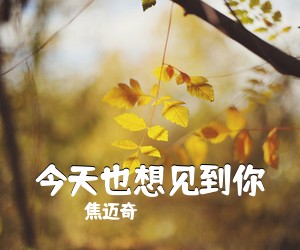 焦迈奇《今天也想见到你吉他谱》(C调)