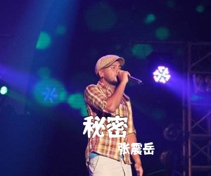 张震岳《秘密吉他谱》(C调)