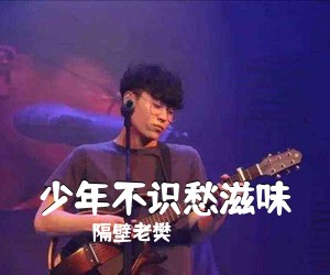 隔壁老樊《少年不识愁滋味吉他谱》(C调)