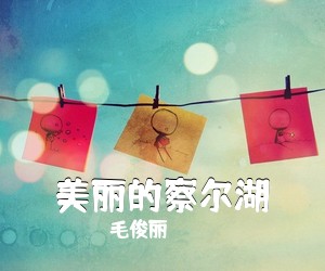 吴娜《沙枣花简谱》