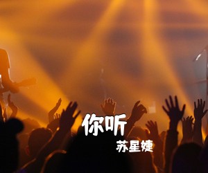 苏星婕《你听吉他谱》(C调)