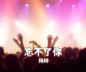 杨梓《忘不了你简谱》