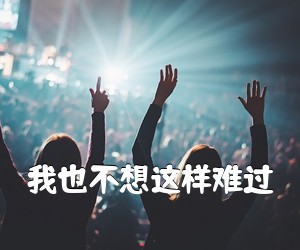 《我也不想这样难过吉他谱》