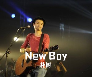 朴树《New Boy吉他谱》(C调)