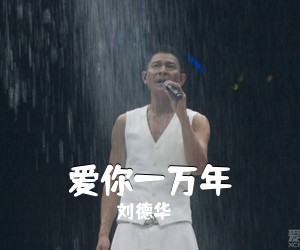 刘德华《爱你一万年吉他谱》(C调)