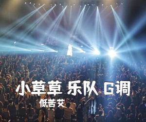 低苦艾《小草草 乐队 G调吉他谱》(G调)