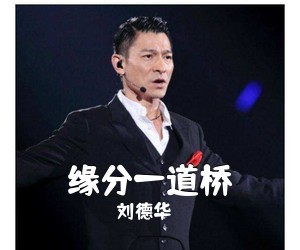 刘德华《缘分一道桥吉他谱》