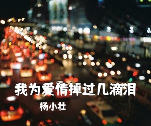 杨小壮《我为爱情掉过几滴泪吉他谱》(G调)