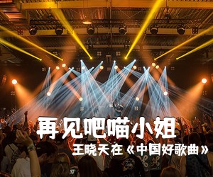 王晓天在《中国好歌曲》中《再见吧喵小姐吉他谱》(C调)