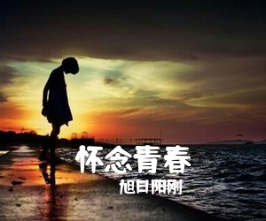 旭日阳刚《怀念青春吉他谱》(G调)