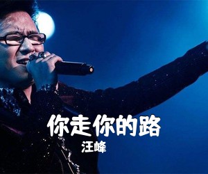 汪峰《你走你的路吉他谱》(C调)